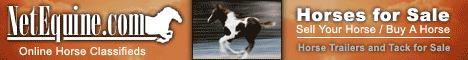 NetEquine - Horses for Sale